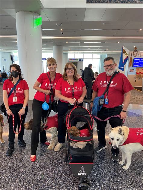 LAX celebrates 10th anniversary of Pets Unstressing Passengers program with pup parade and giveaways 